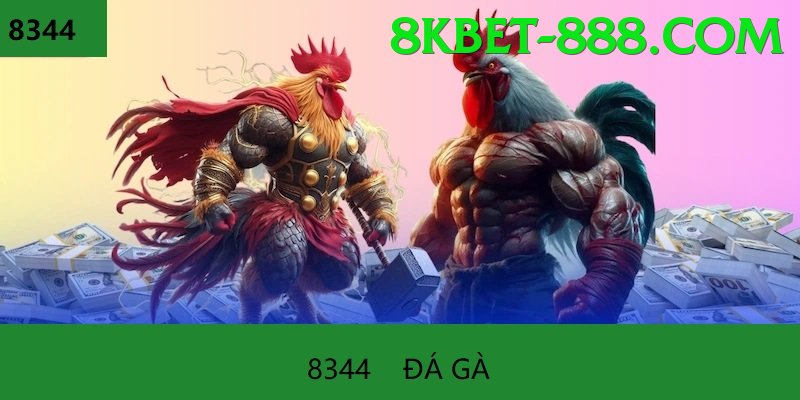 Đá Gà Trực Tiếp - Trải nghiệm tuyệt vời